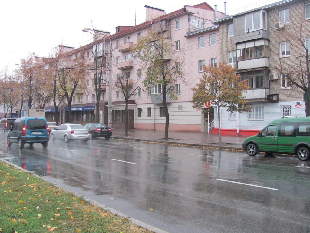 Zaporizhia Apartment On Prospect Lenina97 מראה חיצוני תמונה